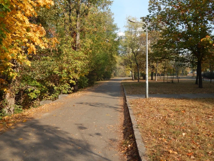 a very empty street surrounded by trees on a nice day