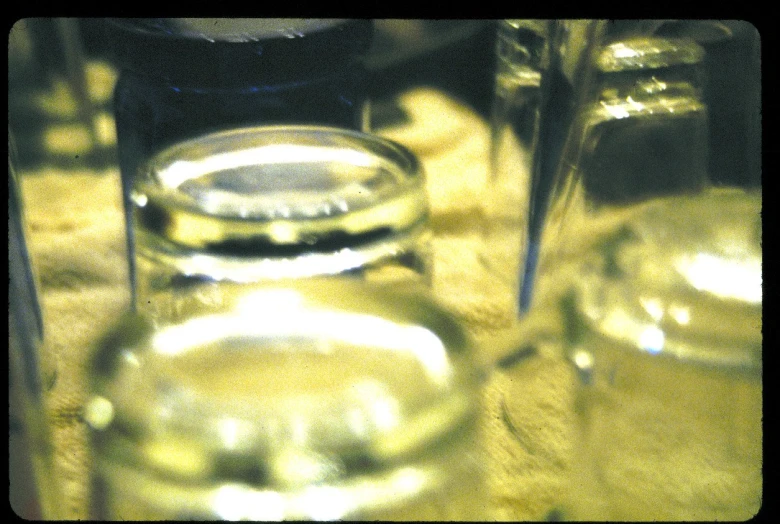 several glass containers lined up on top of a counter