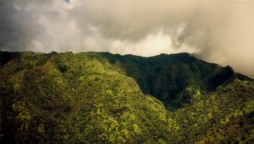 the top of a mountain that looks like a forest