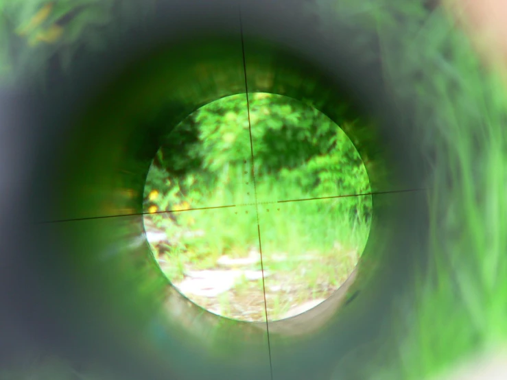 an open round object with trees in the background