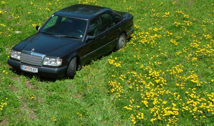 a black car parked in the grass on a hillside