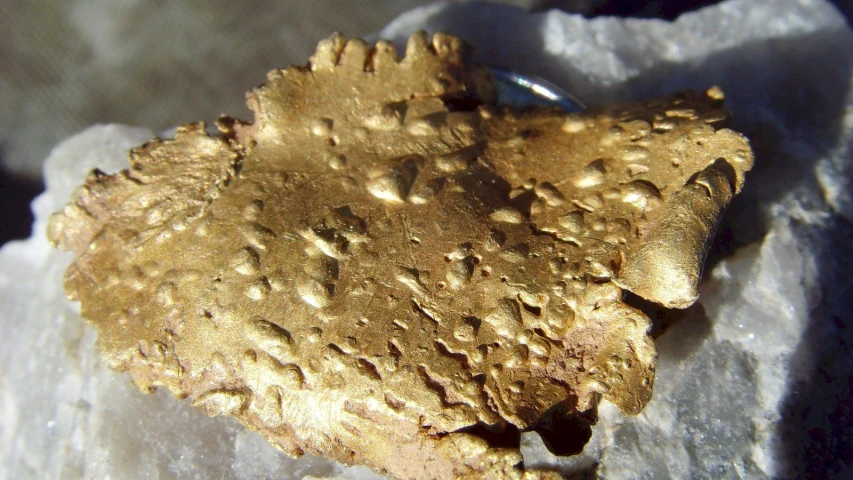 a gold leaf on a white piece of rock