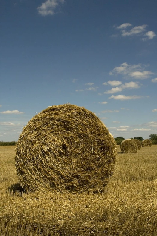 a hay bail on a grassy field during the day