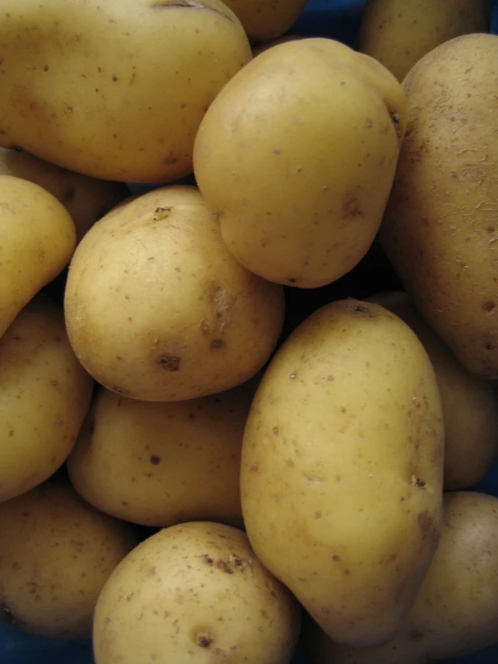 a pile of potatoes is displayed in the picture