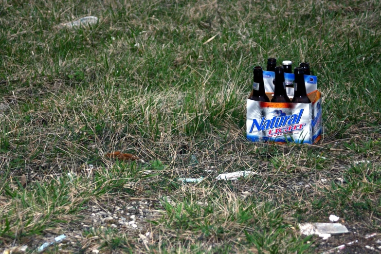two bottles of beer that are in the grass