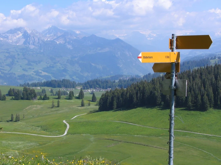 three yellow street signs sitting on the side of a lush green hillside