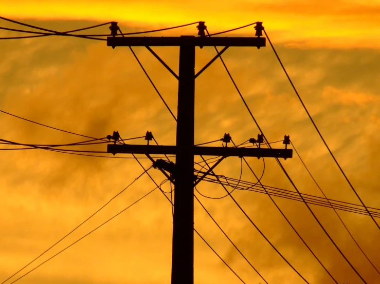 birds perch atop the electrical wires under a cloudy sky