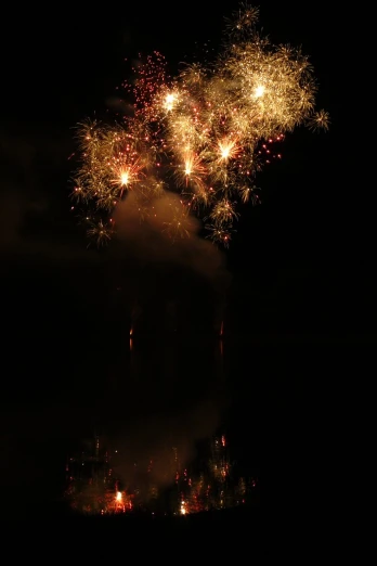 a fireworks display is seen from a hill in the dark