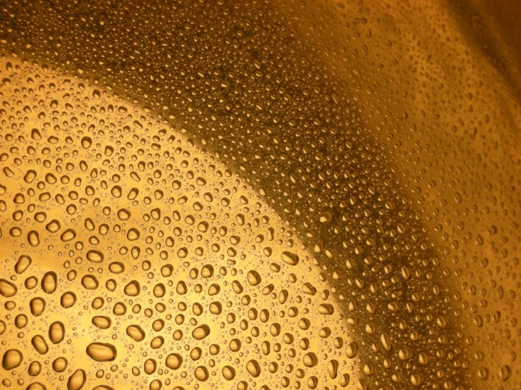 dew drops on a glass with some green stuff