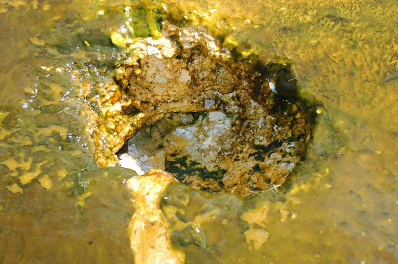 a close up image of a rock under the water