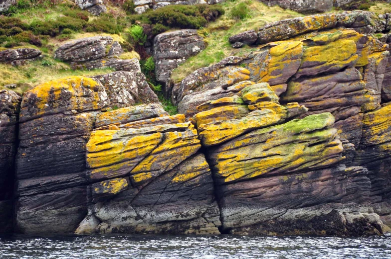 the rocks that are covered with algae by the water