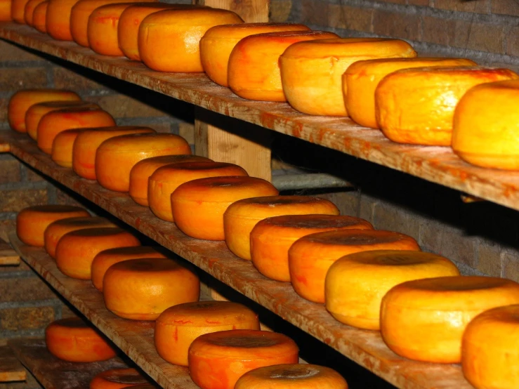 several shelves holding different types of cheese on display