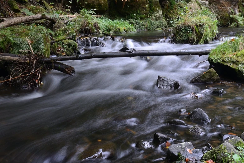 a mountain stream flowing past a fallen tree