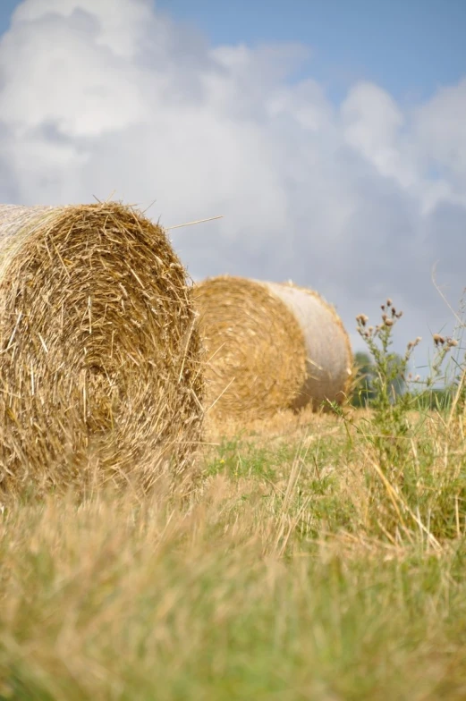 two bales of hay are in the field near grass