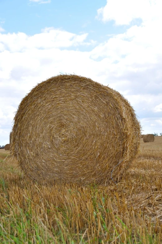 bales of hay in an open field with cloudy blue sky