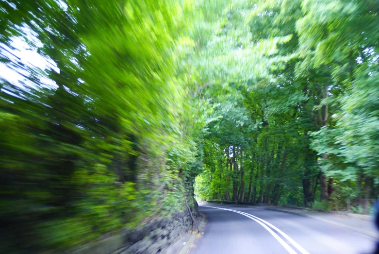 a long road with several trees on both sides