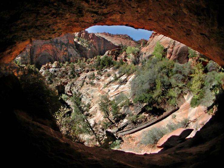 a view of a rocky area with some trees