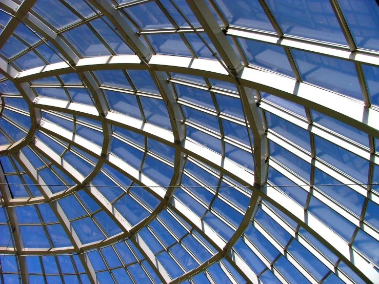 a po taken looking up at the ceiling