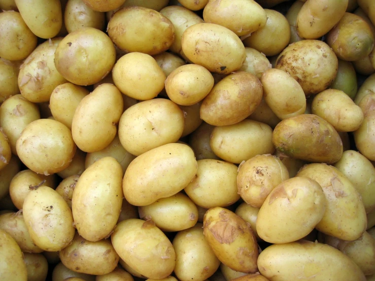 potatoes piled up in a bin together with brown spots