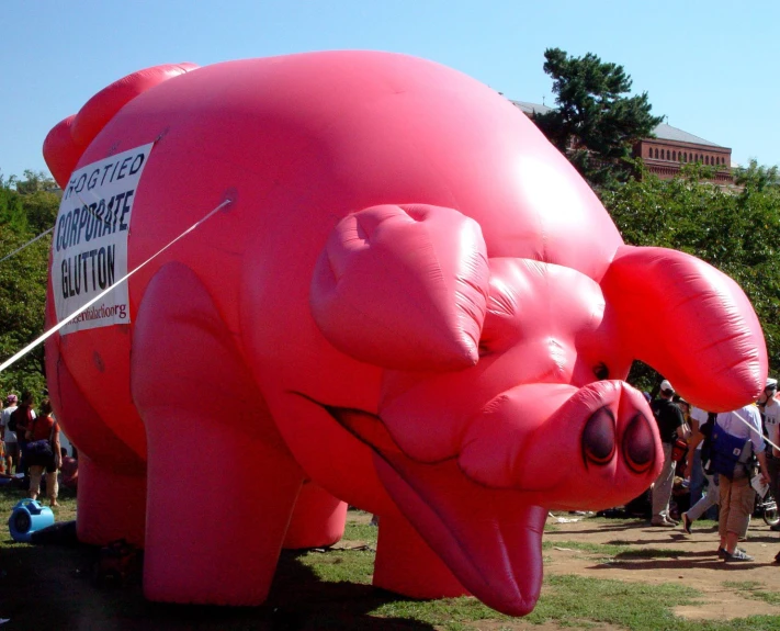 an animal is decorated and placed on display