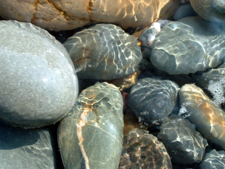 a mixture of rocks and pebbles under water