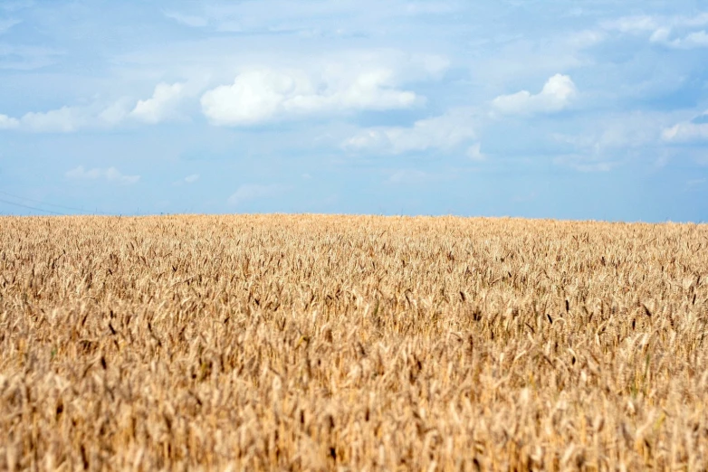 a lone single balloon sits on top of an almost empty field