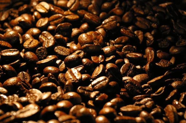 coffee beans as a background po