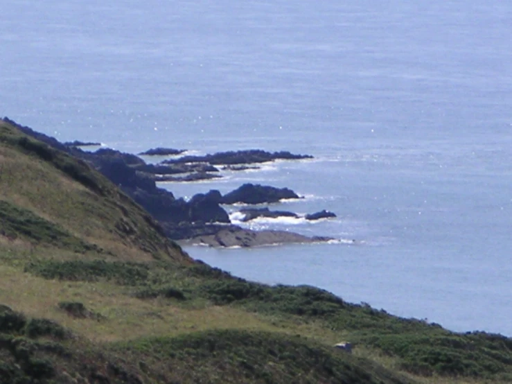 a large cow is standing on the green hill