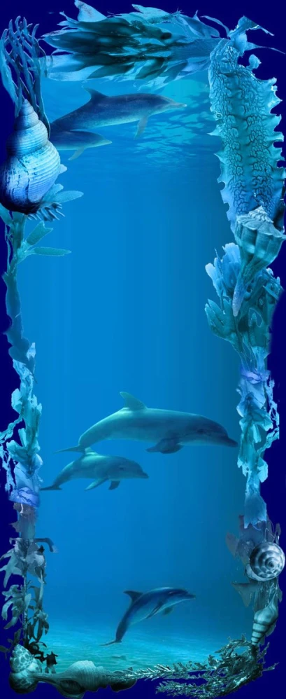 an underwater view of several dolphins swimming under water