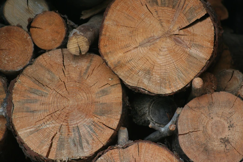 close up view of a pile of wood