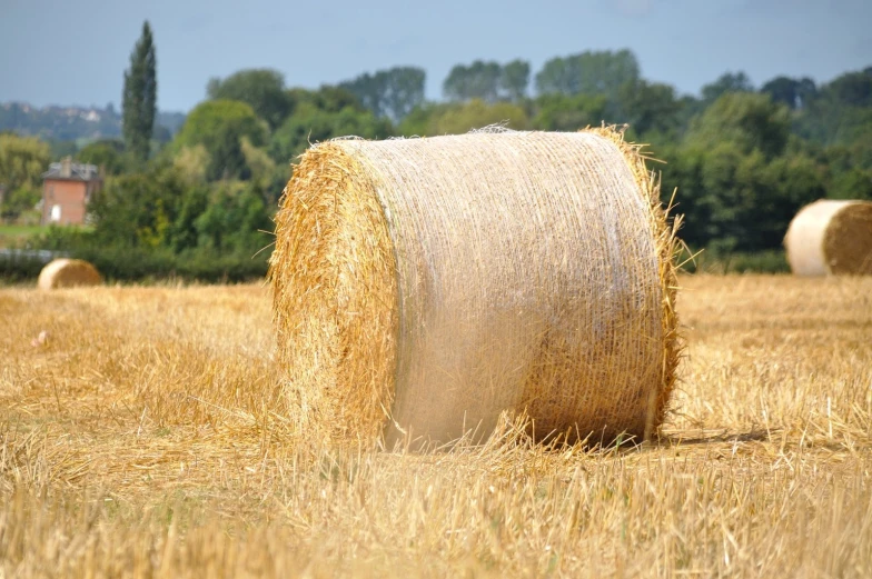 several round bales are shown in an open field