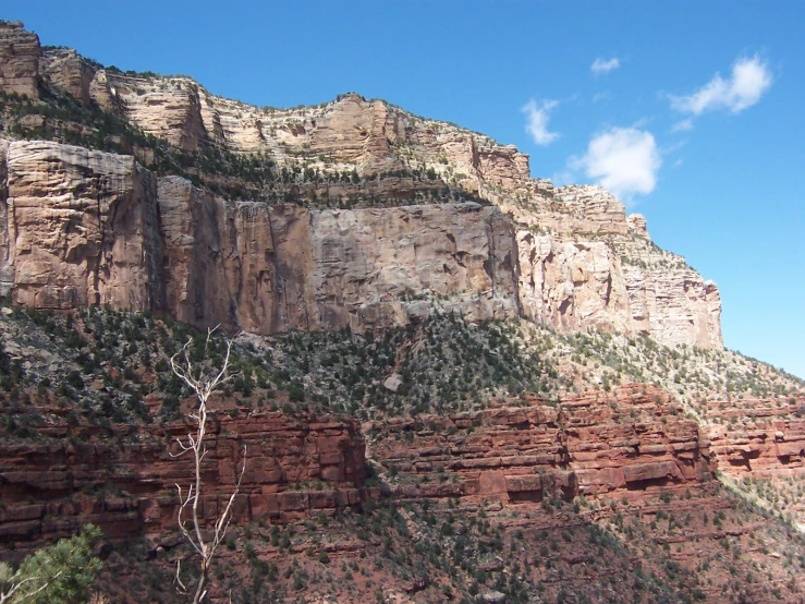 some very pretty mountains with some trees on the top