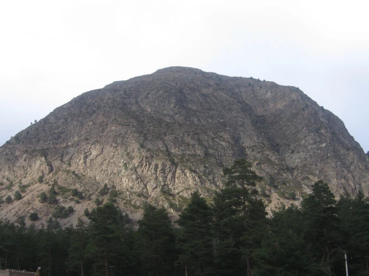 the face of a hill is next to some trees