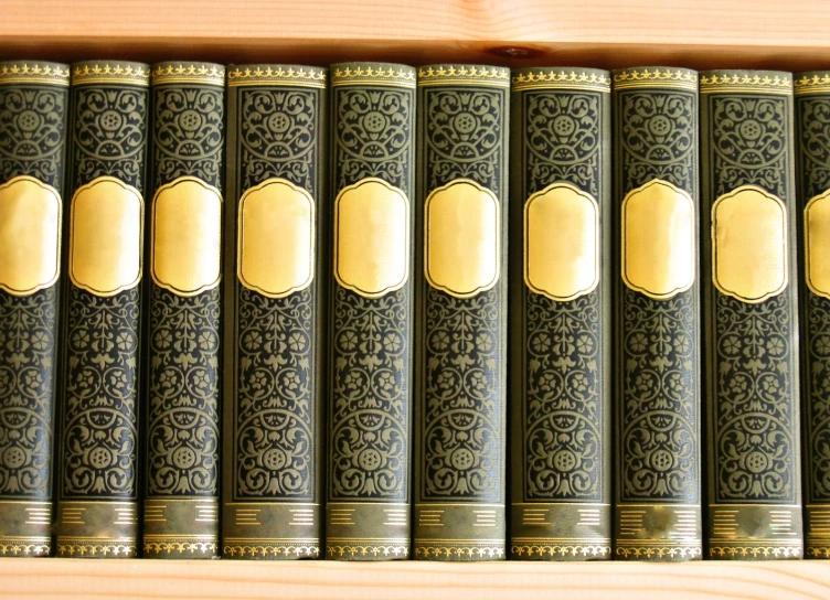 a set of large books lined up together