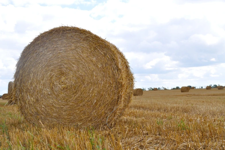 a bale of hay in the middle of the prairie