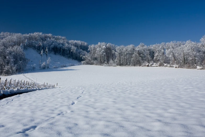 there is a field covered in snow with trees