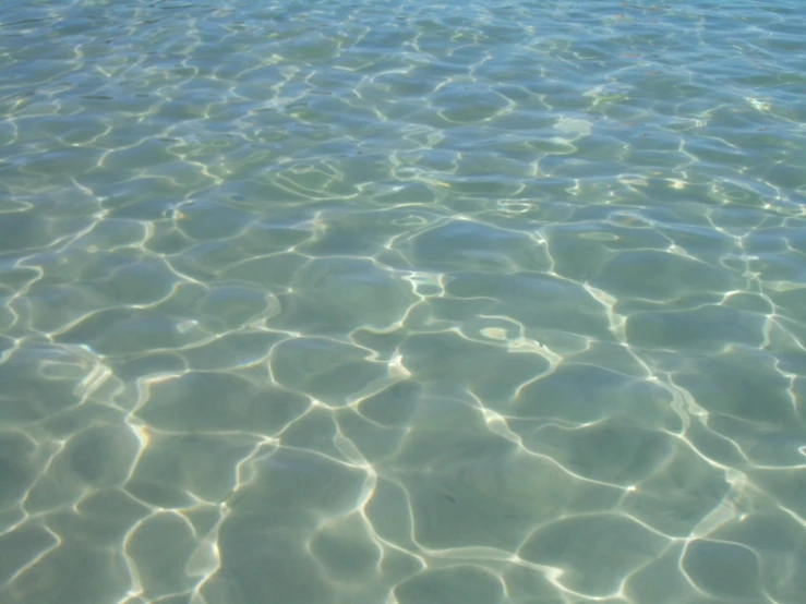 a large body of water filled with small bubbles