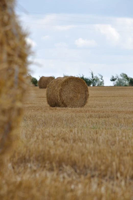 bales of hay in the middle of a field