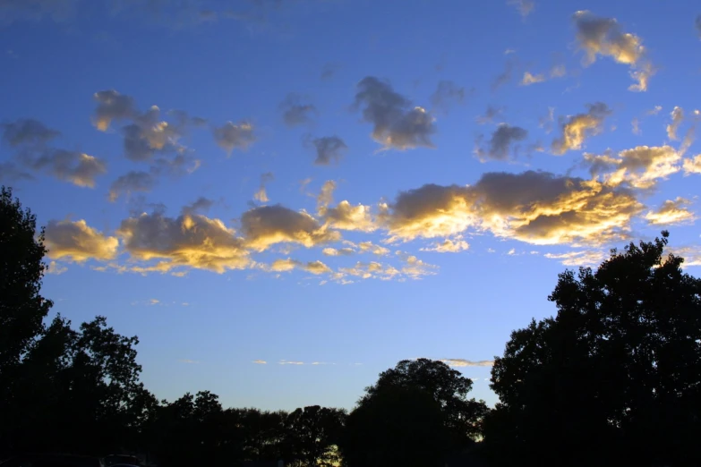 trees in silhouette against a blue sky with the sun setting