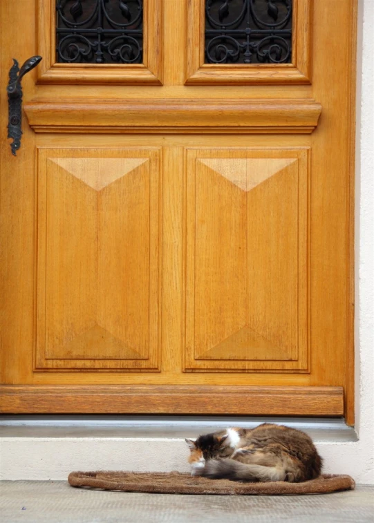 a grey and white cat lays on the front door mat