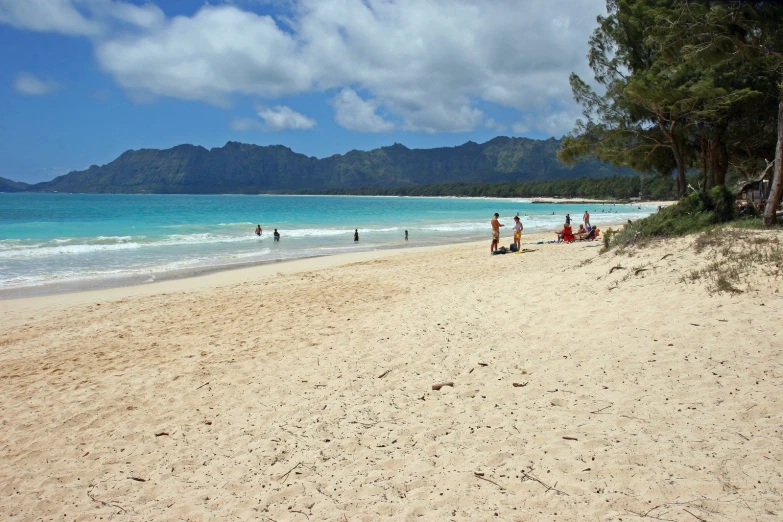 several people standing on the shore line of the ocean