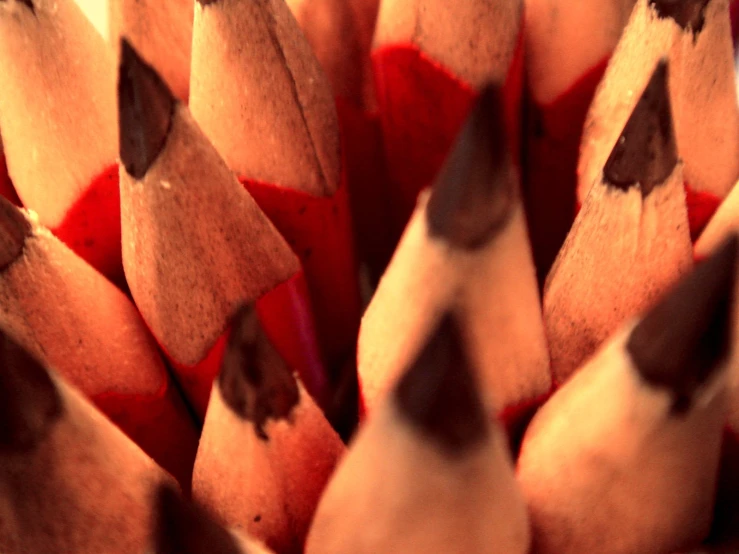 a group of pencils with two black spots
