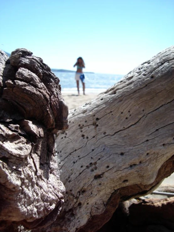 a woman standing on the beach near a large tree