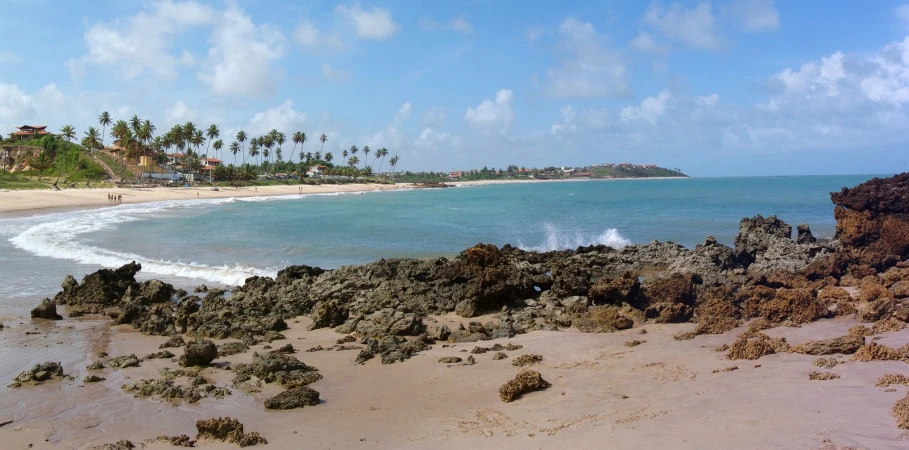 a rocky shore near a beach with waves and palm trees