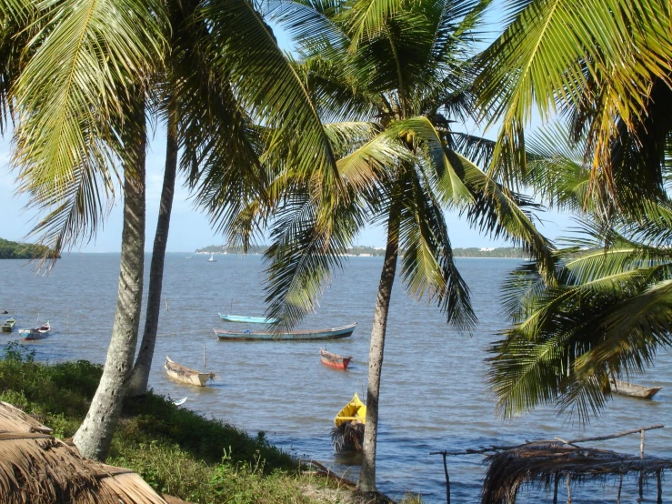 a tropical island with many boats on the water