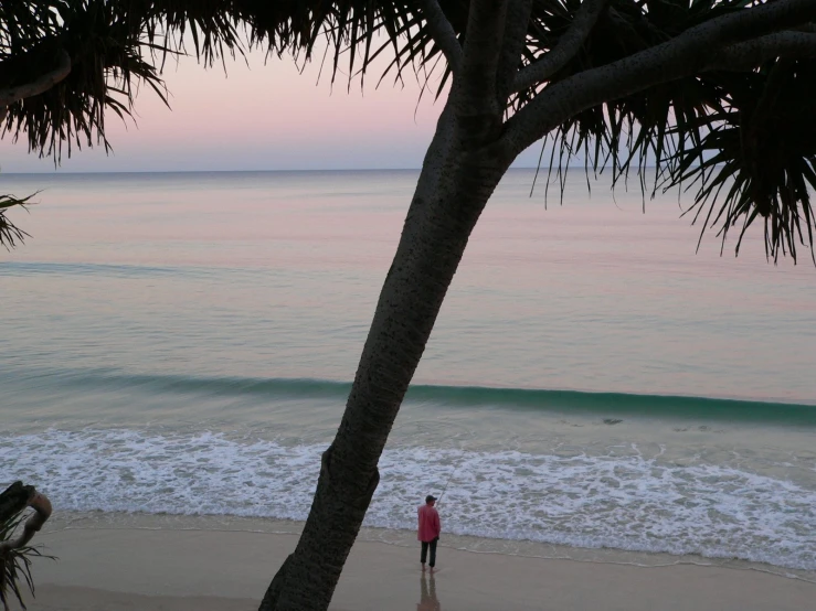 a person on a beach next to some trees