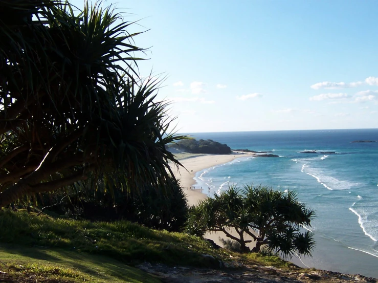 a beach that is near a hill and some trees