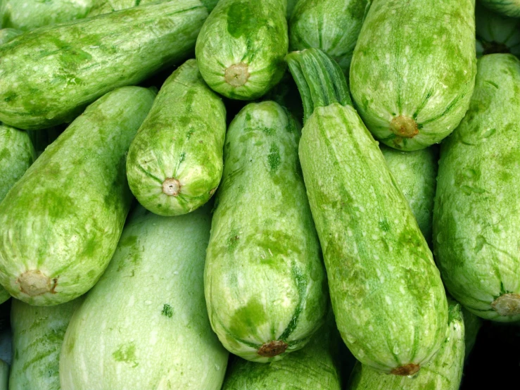 several cucumbers are piled together, some green with brown markings