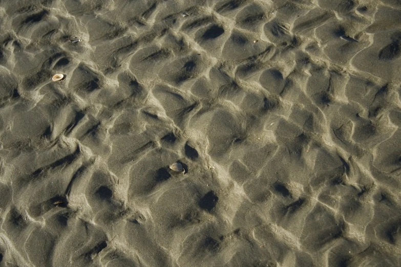 some footprints are laying on the sand in the ocean