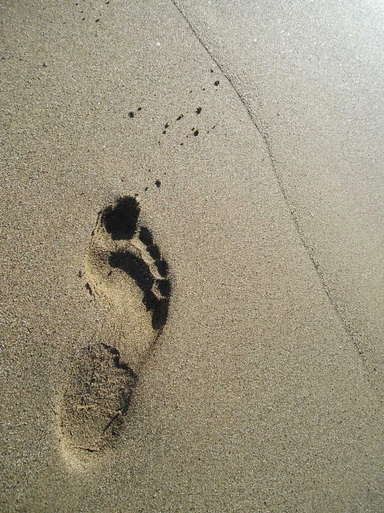 a single shoe prints on the sand of a beach